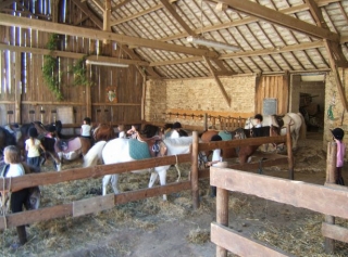 Preau des poneys